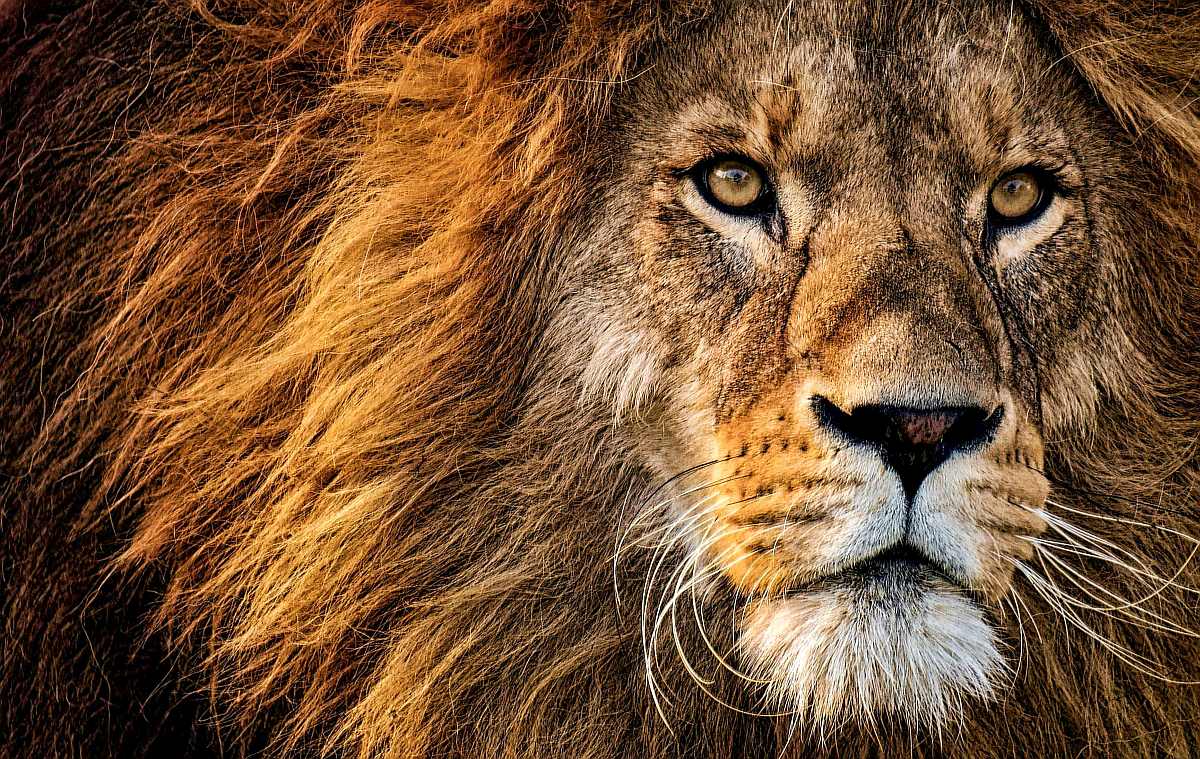 ¿Cómo detectar un correo malicioso que está muy bien elaborado?